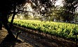 V angleškem stilu zgrajen hotel se nahaja v središču vinogradov, v rodovitni dolini Devon. V restavraciji Flavours vam nudijo najboljše narodne jedi in vina te pokrajine. Od tukaj se lahko odpravite do znanih vinogradov.