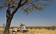 Ekscentričen, pa vendar luksuzen lodge je obdan z orjaškimi baobab drevesi in se nahaja na obrobju NP Tarangire.