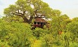 Ekscentričen, pa vendar luksuzen lodge je obdan z orjaškimi baobab drevesi in se nahaja na obrobju NP Tarangire.