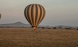 Zasneženi Kilimanjaro, zlatorumene savane in številne živalske vrste v NP Serengeti, Ngorongoro, obisk Masajcev, Bušmanov, sanjske bele plaže Indijskega oceana, … in gostoljubni ljudje, ki vam ponujajo nepozabno afriško avanturo. 
