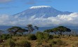 Zasneženi Kilimanjaro, zlatorumene savane in številne živalske vrste v NP Serengeti, Ngorongoro, obisk Masajcev, Bušmanov, sanjske bele plaže Indijskega oceana, … in gostoljubni ljudje, ki vam ponujajo nepozabno afriško avanturo. 
