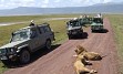 Zasneženi Kilimanjaro, zlatorumene savane in številne živalske vrste v NP Serengeti, Ngorongoro, obisk Masajcev, Bušmanov, sanjske bele plaže Indijskega oceana, … in gostoljubni ljudje, ki vam ponujajo nepozabno afriško avanturo. 