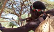 Zasneženi Kilimanjaro, zlatorumene savane in številne živalske vrste v NP Serengeti, Ngorongoro, obisk Masajcev, Bušmanov, sanjske bele plaže Indijskega oceana, … in gostoljubni ljudje, ki vam ponujajo nepozabno afriško avanturo. 