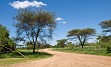 Zasneženi Kilimanjaro, zlatorumene savane in številne živalske vrste v NP Serengeti, Ngorongoro, obisk Masajcev, Bušmanov, sanjske bele plaže Indijskega oceana, … in gostoljubni ljudje, ki vam ponujajo nepozabno afriško avanturo. 