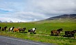 Islandija, otok neštetih ledenikov, vulkanov in čudovitih slapov in drugi največji otok v Evropi vas bo očaral s svojo naravo, pravljičnim svetom škratov, mitov in pripovedk ter s številnimi gejziri.