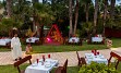 MAGIC LIFE AFRICANA IMPERIAL