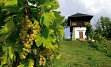 Cernik, Požegi, Osijek, Slavonski brod, ...