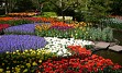 Obiskali bomo najbolj markantne nizozemske točke: Amsterdam, Zaanche Schaans, Volendam, Keukenhof, Delft, Den Haag, ...