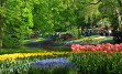 Obiskali bomo najbolj markantne nizozemske točke: Amsterdam, Zaanche Schaans, Volendam, Keukenhof, Delft, Den Haag, ...
