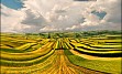 VOJVODINA - zakladnica kultur