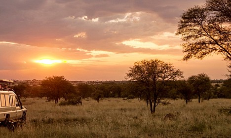 Zasneženi Kilimanjaro, zlatorumene savane in številne živalske vrste v NP Serengeti, Ngorongoro, obisk Masajcev, Bušmanov, sanjske bele plaže Indijskega oceana, … in gostoljubni ljudje, ki vam ponujajo nepozabno afriško avanturo. 
