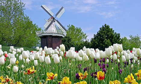 Obiskali bomo borzo cvetja, Keukenhof, Amsterdam, Volendam, Zaansche Schaans, Delft, Den Haag, Rotterdam, Bruselj, ...