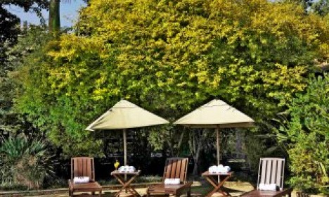 Luksuzni lodge se nahaja na obrobju Arushe in je obdan s plantažami kave. 